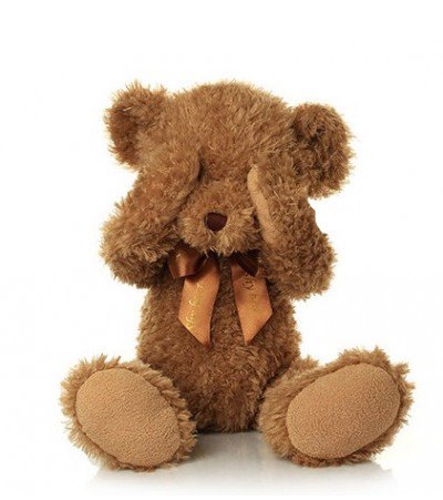 Brown Teddy Bear