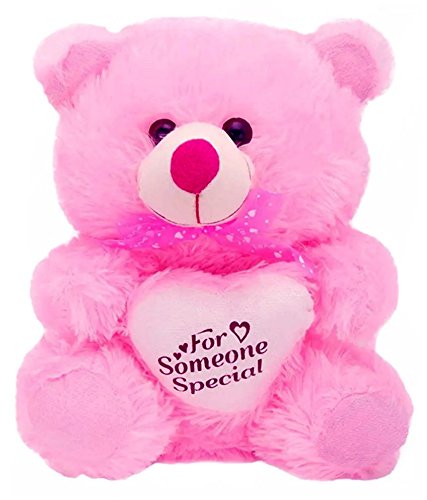 Pink Teddy Bear