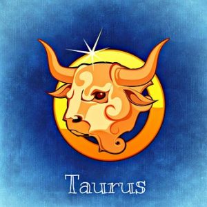  Taurus