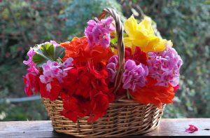 Cute Flower Basket