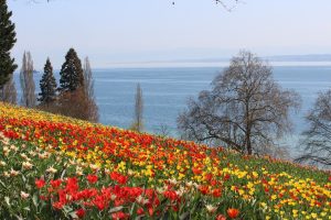 Mainau Island, Germany