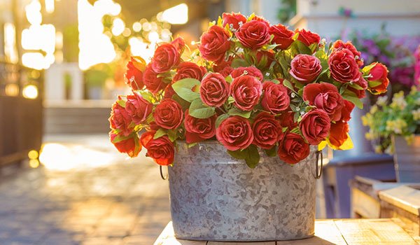 A Gorgeous Bouquet of Flowers