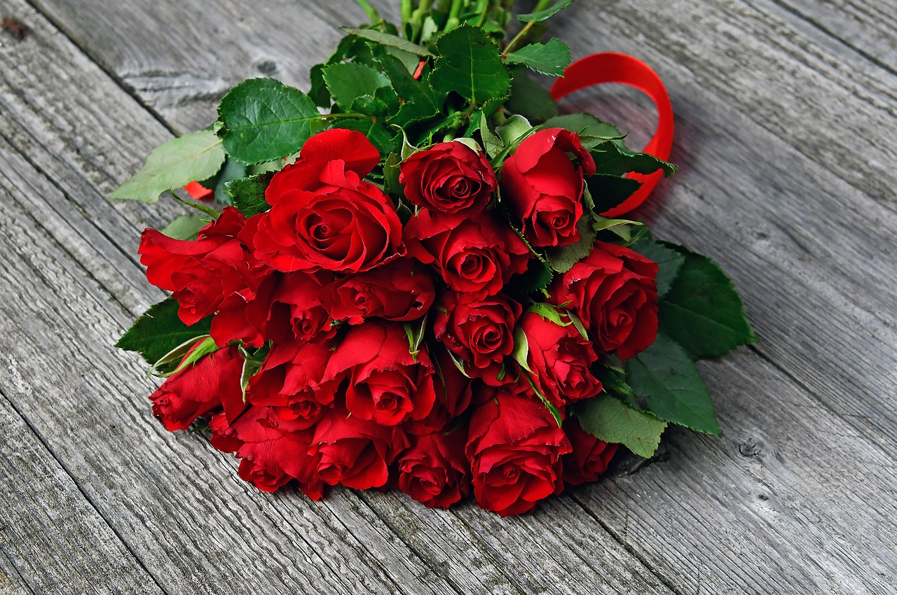 red roses on Valentine's day