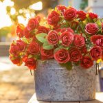A Gorgeous Bouquet of Flowers