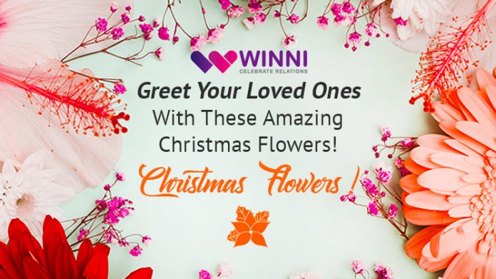 Greet Your Loved Ones With These Amazing Christmas Flowers!