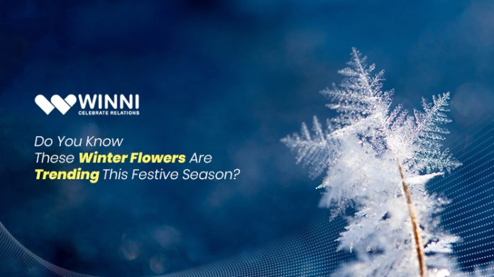 Do You Know These Winter Flowers Are Trending This Festive Season?