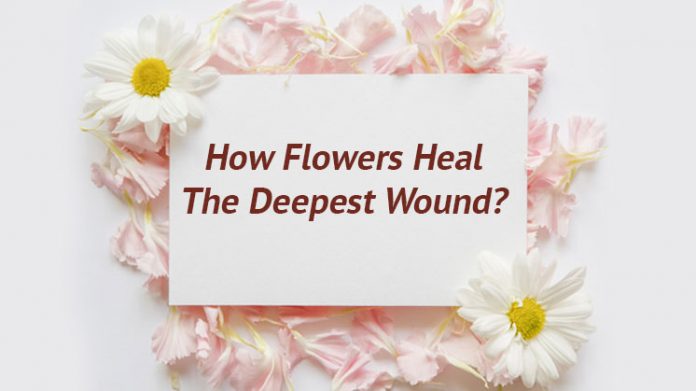 How Flowers Heal The Deepest Wound?