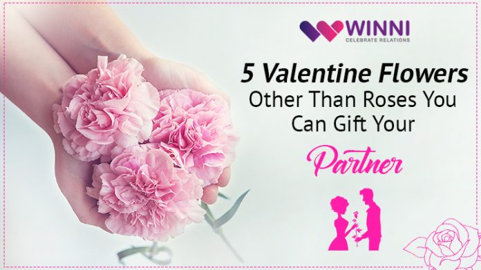 5 Valentine Flowers Other Than Roses You Can Gift Your Partner!