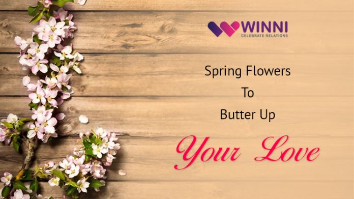 List Of 7 Spring Blooms To Butter Up Your Lover