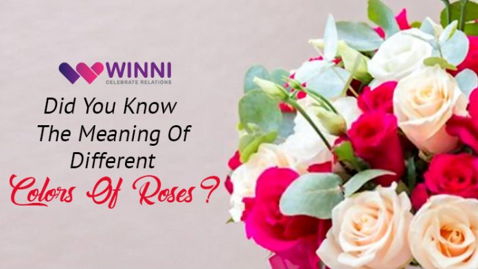 Did You Know The Meaning Of Different Colors Of Roses?