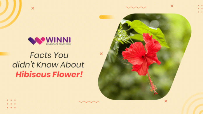 Facts You didn’t Know About Hibiscus Flower!