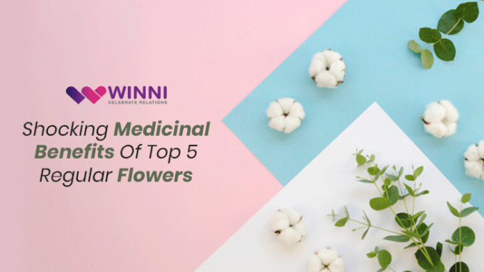 Shocking Medicinal Benefits Of Top 5 Regular Flowers