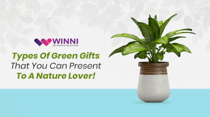 Types Of Green Gifts That You Can Present To A Nature Lover!