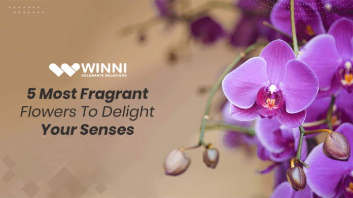 5 Most Fragrant Flowers to Delight Your Senses