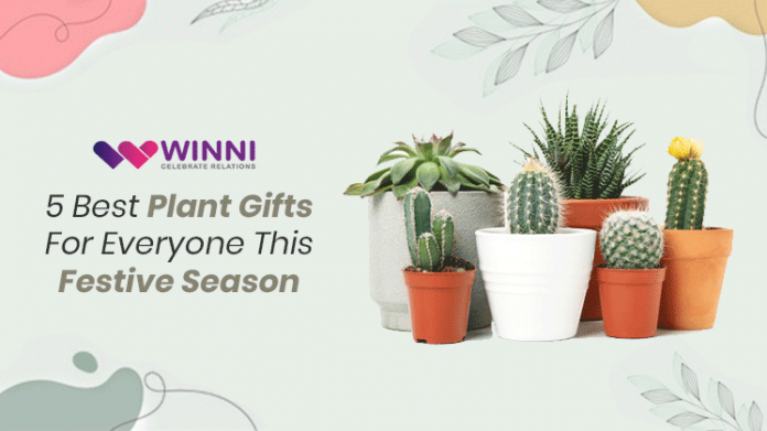 5 Best Plant Gifts For Everyone This Festive Season