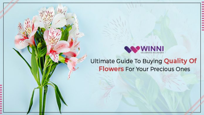 Ultimate Guide To Buying Quality Of Flowers For Your Precious Ones!!!