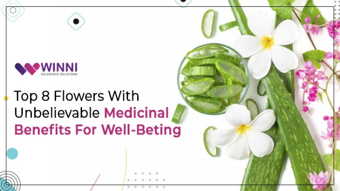 Top 8 Flowers With Unbelievable Medicinal Benefits For Well-Being