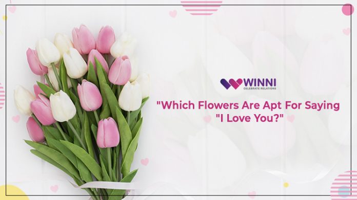 Which Flowers Are Apt For Saying 