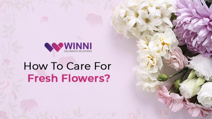 How To Care For Fresh Flowers?