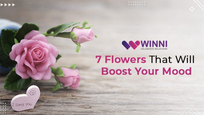 7 Flowers That Will Boost Your Mood