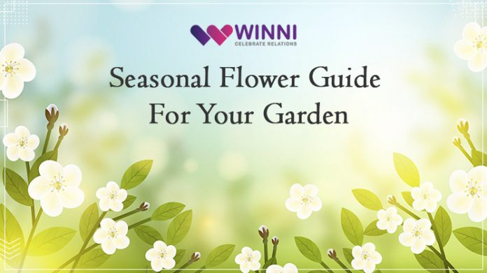 Seasonal Flower Guide For Your Garden