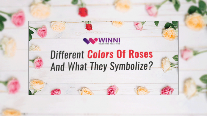 Different Colors Of Roses And What They Symbolize?