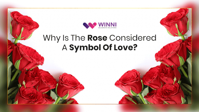 Why Is The Rose Considered A Symbol Of Love?