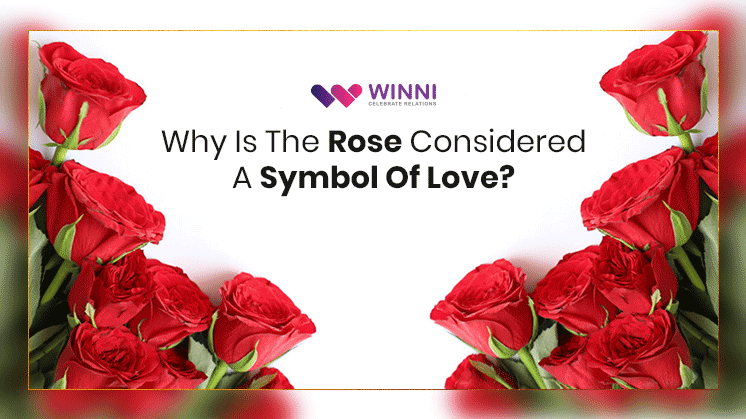 The History of Roses: Why Are They So Romantic & Symbolic?