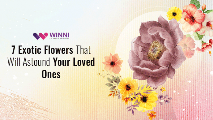 7 Exotic Flowers That Will Astound Your Loved Ones