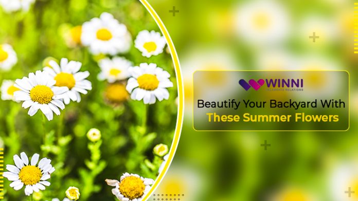 Beautify Your Backyard With These Summer Flowers!!!