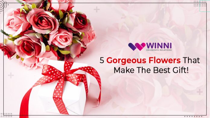 5 Gorgeous Flowers That Make The Best Gift!!!