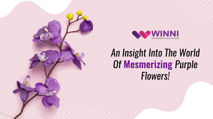An Insight Into The World Of Mesmerizing Purple Flowers!