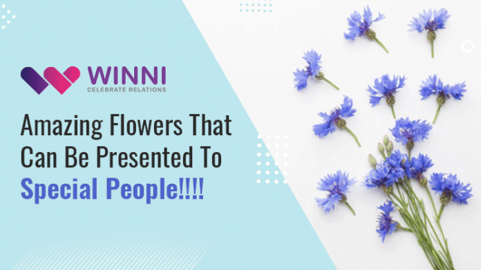 Amazing Flowers That Can Be Presented To Special People!!!!