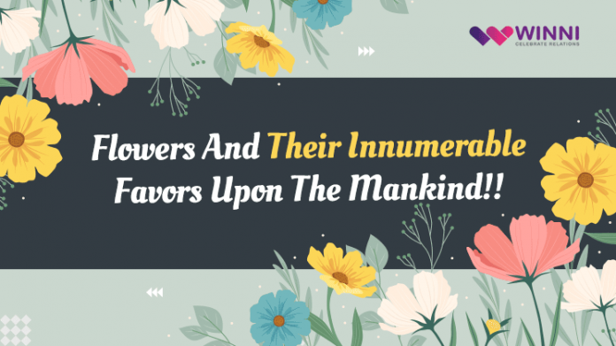 Flowers And Their Innumerable Favors Upon The Mankind!!!