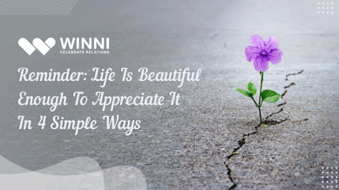 Reminder: Life Is Beautiful Enough To Appreciate It In 4 Simple Ways