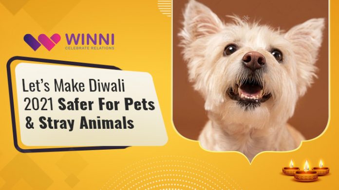 Let's Make Diwali 2021 Safer For Pets & Stray Animals