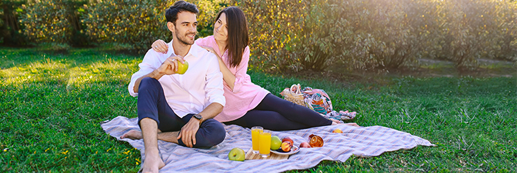 Day Picnic