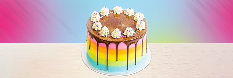 Rainbow Chocolate Cake