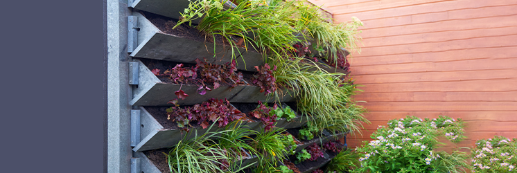 Balcony Garden