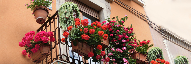 Balcony Garden