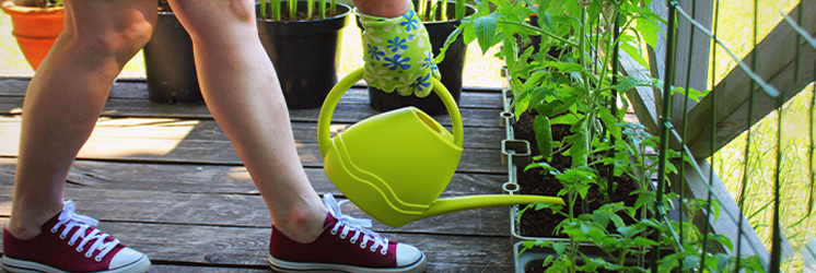 Balcony Garden