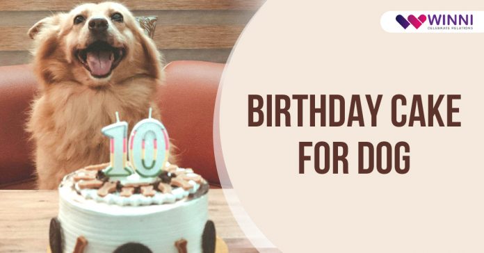 Birthday cake for Dog
