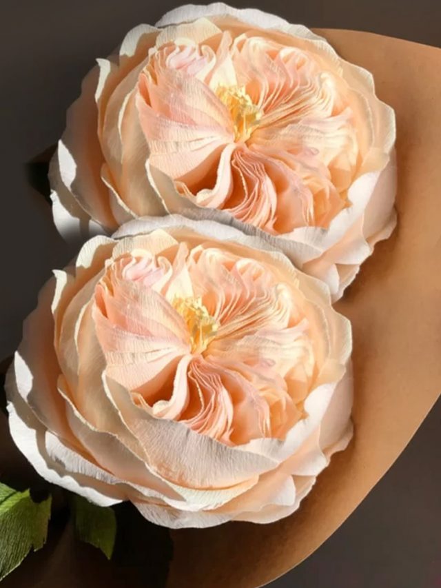 8 Rare Flowers Around The World