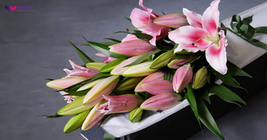 Lilies