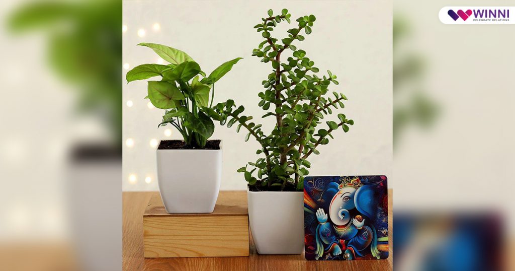 Ganesh Chaturthi online gifts
