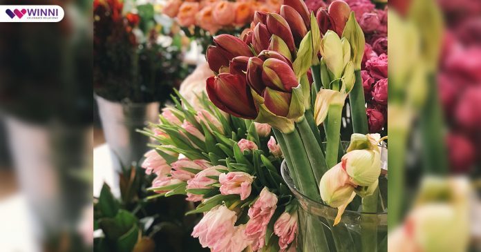Flower Colors for various relations
